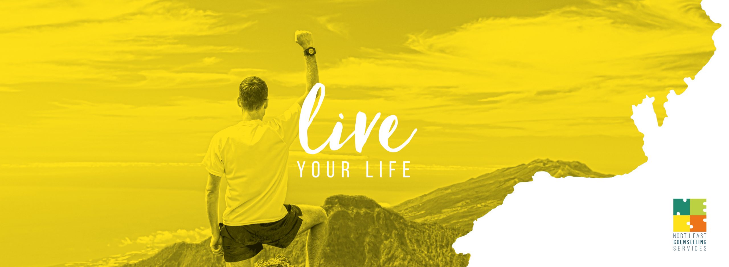 NECS-live-your-life-Banners02